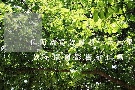 信而富貸款逾期一天后果嚴重嗎-信而富貸款不還會影響征信嗎