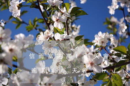 信而富逾期10天會(huì)怎樣（信而富逾期10天會(huì)怎樣）