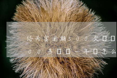 信而富逾期500欠兩個月(信而富欠了1000多塊錢,一年會怎么樣)