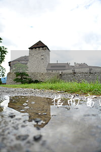 信而富逾期一周后才还款(信而富一年没还)