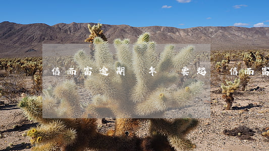 信而富逾期兩年說要起訴(信而富說要起訴我)