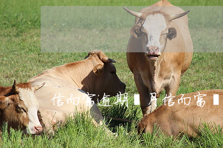 信而富逾期兩月(信而富沒有還款了)