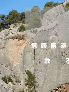 信而富逾期可以協(xié)商還款(信而富還款還不了)