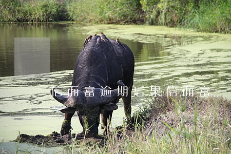 信而富逾期后果(信而富一年没还)