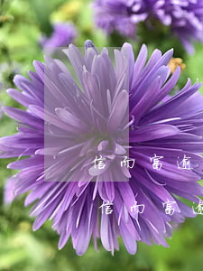 信而富逾期發(fā)短信說上門會去嗎-信而富逾期發(fā)短信說上門會去嗎是真的嗎