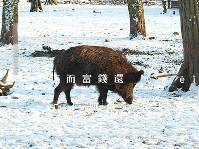 信而富錢還沒(méi)到就有還款信息了-信而富沒(méi)有還款渠道