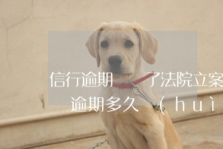 信行逾期錢還了法院立案能扯案嗎 欠銀行的錢逾期多久會(huì)被起訴