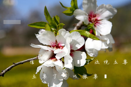 信行逾期錢還了法院立案能撤案嗎(欠款法院立案了可以撤案嗎)