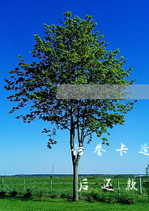 信誉卡逾期起诉怎么能撤诉(欠信用卡被起诉后还款会马上撤诉吗)