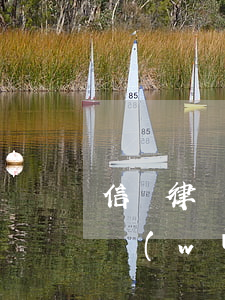 信誠律師事務(wù)所怎么樣(誠公律師事務(wù)所怎么樣)