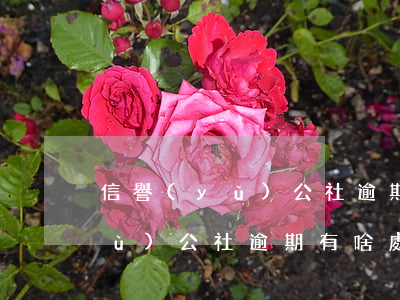 信譽(yù)公社逾期有啥處罰-信譽(yù)公社逾期有啥處罰嗎
