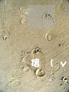 信譽(yù)卡逾期(信譽(yù)卡逾期)