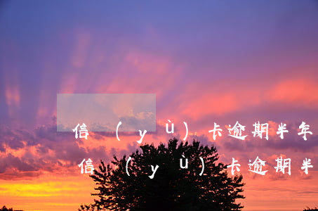 信譽(yù)卡逾期半年先還本金可以嗎-信譽(yù)卡逾期半年先還本金可以嗎
