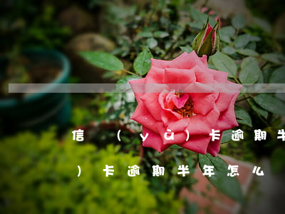 信譽(yù)卡逾期半年怎么辦(信譽(yù)卡逾期半年怎么辦理)