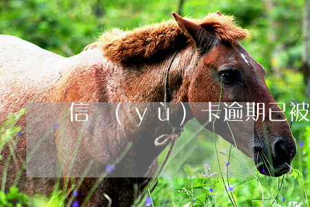 信譽(yù)卡逾期已被起訴(欠信用卡被訴訟)