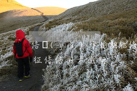 信譽(yù)卡逾期能信譽(yù)貸款嗎(征信信用卡逾期)