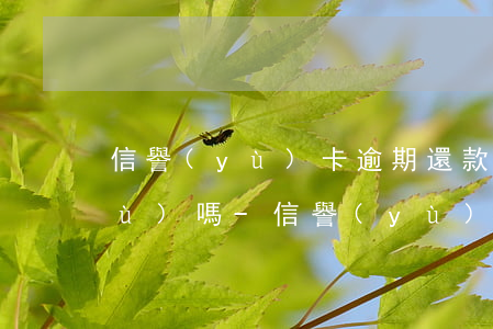 信譽(yù)卡逾期還款一天影響信譽(yù)嗎-信譽(yù)卡逾期還款一天影響信譽(yù)嗎怎么辦