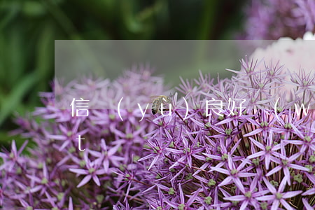 信譽(yù)良好無(wú)逾期(fruit詞組)
