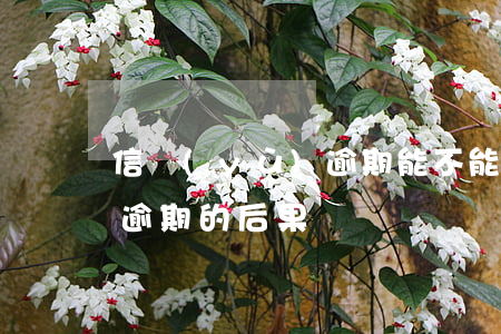 信譽(yù)逾期能不能辦貸款6(信用貸款逾期的后果)