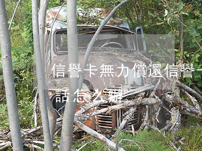信譽卡無力償還(信譽卡無力償還老給我打電話怎么辦)