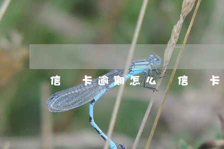 信譽卡逾期怎么辦(信譽卡逾期怎么辦最快)