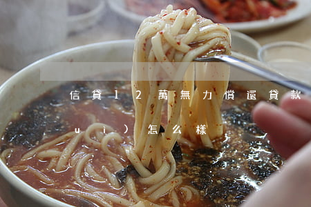 信貸12萬無力償還(貸款12萬不還會(huì)怎么樣)