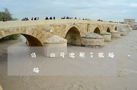 信貸公司逾期了被起訴-信貸公司逾期了被起訴