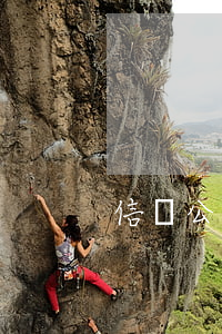信貸公司逾期多久會被起訴