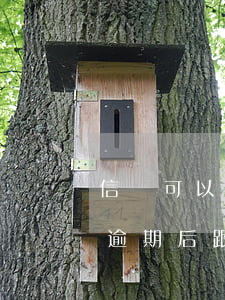 信貸可以逾期后跟他們談條件嗎-信貸可以逾期后跟他們談條件嗎是真的嗎
