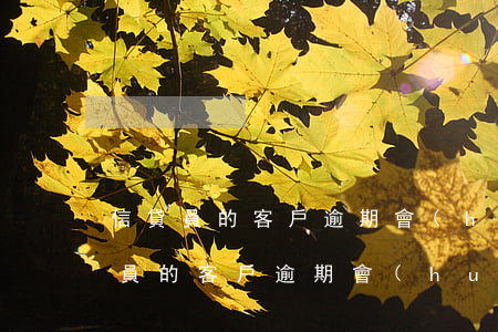 信貸員的客戶逾期會(huì)怎么樣(信貸員的客戶逾期會(huì)怎么樣)