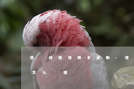 信貸政策 信用卡逾期-信貸政策 信用卡逾期怎么處理