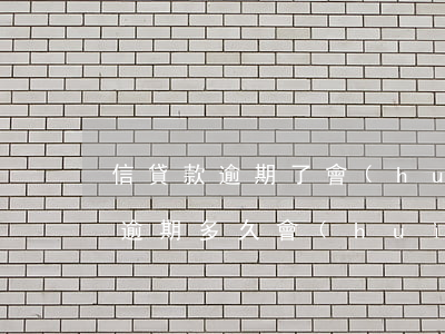 信貸款逾期了會(huì)怎么樣(信用貸款逾期多久會(huì)被起訴)