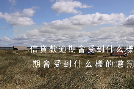 信貸款逾期會受到什么樣的懲罰-信貸款逾期會受到什么樣的懲罰呢