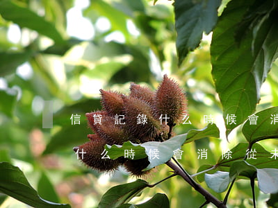 信貸記錄什么時候會消除從未逾期（信貸記錄什么時候會消除從未逾期）