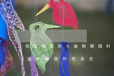 信貸跟信用卡逾期哪個利息高(信貸跟信用卡逾期哪個利息高些)