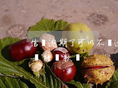 信貸逾期了可以不還逾期的息嗎-信貸逾期還能貸款嗎