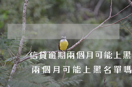 信貸逾期兩個月可能上黑名單嗎-信貸逾期兩個月可能上黑名單嗎知乎