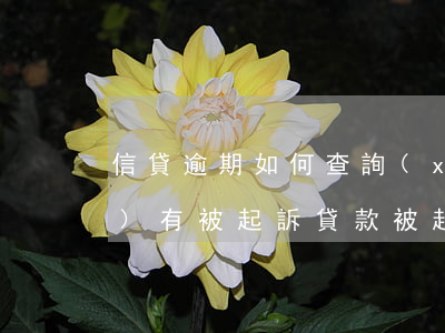 信貸逾期如何查詢(xún)有沒(méi)有被起訴(貸款被起訴怎么查詢(xún))