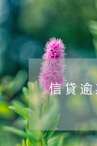 信貸逾期影響客戶(信貸逾期影響客戶貸款嗎)