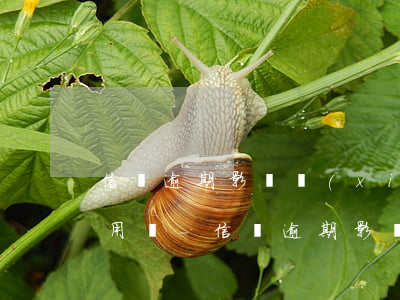 信貸逾期影響現(xiàn)有信用卡的使用嗎-信貸逾期影響現(xiàn)有信用卡的使用嗎知乎