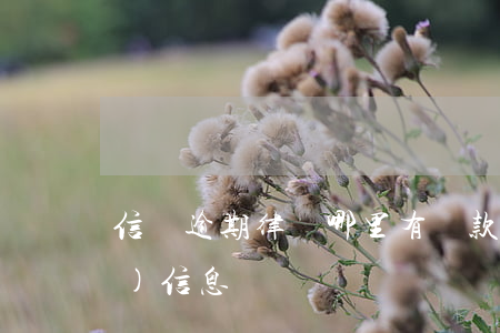 信貸逾期律師哪里有 貸款逾期律師發(fā)信息