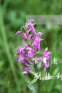 信貸逾期怎么請(qǐng)律師(信用貸逾期接到律師函)