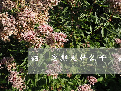 信貸逾期是什么平臺 信貸逾期屬于詐騙么
