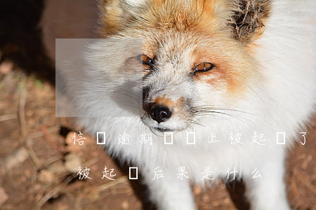信貸逾期沒還上被起訴了什么后果(貸款逾期被起訴后果是什么)