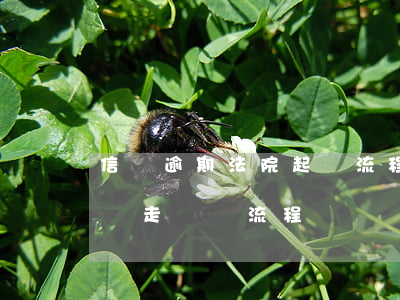 信貸逾期法院起訴流程(貸款已嚴重逾期 案件將走訴訟流程)