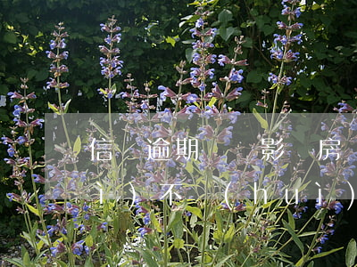 信貸逾期記錄影響房貸嗎(信貸記錄會(huì)不會(huì)影響房貸)