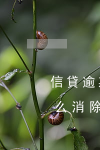 信貸逾期記錄怎么消除(信用貸款逾期記錄怎么消除)