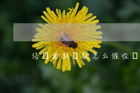 信貸逾期貸款怎么催收(銀行貸款催收)