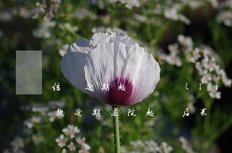 信貸逾期起訴會聯(lián)系被告嗎(貸款逾期法院起訴后果)