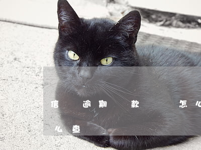 信貸逾期還款記錄怎么看(貸款的還款記錄怎么查)
